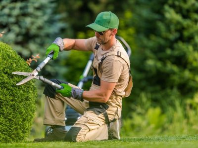 professional-garden-worker-trimming-plants-using-scissors.jpg